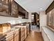 21356 Saddle, Mokena, IL 60448