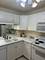 1117 Leavitt Unit 108, Flossmoor, IL 60422