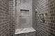 1520 N Dearborn, Chicago, IL 60610