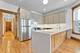 1742 W Addison Unit 3, Chicago, IL 60613