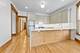 1742 W Addison Unit 3, Chicago, IL 60613