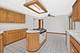 245 Placid, Elk Grove Village, IL 60007