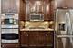 1717 W Schubert, Chicago, IL 60614