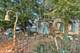 5317 Washington, Downers Grove, IL 60515