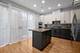1445 S Prairie, Chicago, IL 60605