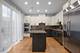 1445 S Prairie, Chicago, IL 60605