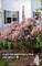 1612 Dogwood, Crystal Lake, IL 60014