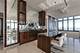 175 E Delaware Unit 9106-07PH, Chicago, IL 60611