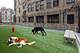 5600 N Sheridan Unit 001A, Chicago, IL 60660
