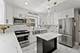 3023 N Oconto, Chicago, IL 60707