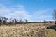 1301 Longwood, Woodstock, IL 60098