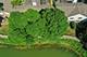 117 Rivershire, Lincolnshire, IL 60069