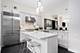 460 W Superior Unit 7, Chicago, IL 60654