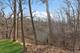 971 Ashley, Lake Forest, IL 60045