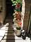1630 N Dayton Unit C, Chicago, IL 60614