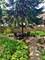 1630 N Dayton Unit C, Chicago, IL 60614
