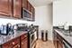233 E 13th Unit 1508, Chicago, IL 60605