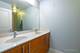 1400 S Michigan Unit 1610, Chicago, IL 60605