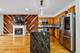 1808 S Michigan Unit 29, Chicago, IL 60616