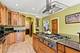300 E Marion, Prospect Heights, IL 60070