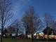 8241 Nashville, Burbank, IL 60459