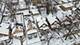 8548 S Aberdeen, Chicago, IL 60620