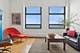 680 N Lake Shore Unit 1602, Chicago, IL 60611