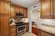 22 Park Unit 520, Park Ridge, IL 60068