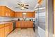 14207 S Pheasant, Orland Park, IL 60467