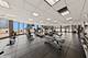 233 E 13th Unit 2210, Chicago, IL 60605