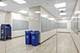 300 N State Unit 3908, Chicago, IL 60654