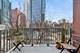 400 N Clinton Unit 403, Chicago, IL 60654