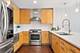 240 E Illinois Unit 1106, Chicago, IL 60611