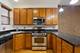 1637 W Pratt Unit 2W, Chicago, IL 60626