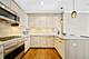 10 E Delaware Unit 18E, Chicago, IL 60611