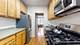 227 Chicago Unit 1, Oak Park, IL 60302