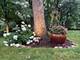 512 N Forest, Addison, IL 60101