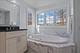 1524 Glencoe, Highland Park, IL 60035