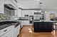 1524 Glencoe, Highland Park, IL 60035