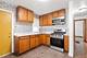 14131 Manor, Dolton, IL 60419