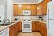 2335 W Belle Plaine Unit 211, Chicago, IL 60618