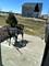 12762 S Nicholas, Plainfield, IL 60585