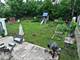 202 S Oltendorf, Streamwood, IL 60107
