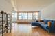 400 E Randolph Unit 1118, Chicago, IL 60601