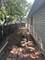 16641 Honore, Markham, IL 60428