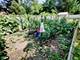 1280 Margret, Des Plaines, IL 60018