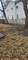 346 W 60th, Chicago, IL 60621