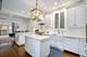 2322 W Dickens, Chicago, IL 60647