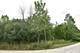 11665 Orchard, Willow Springs, IL 60480