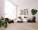 529 N Hartland, Chicago, IL 60622